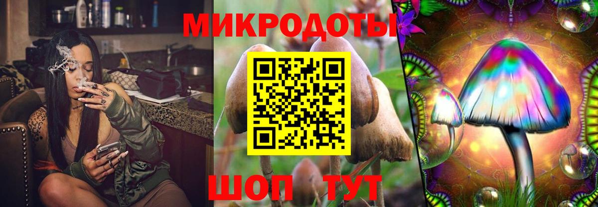 Псилоцибиновые грибы Cubensis Кубинка