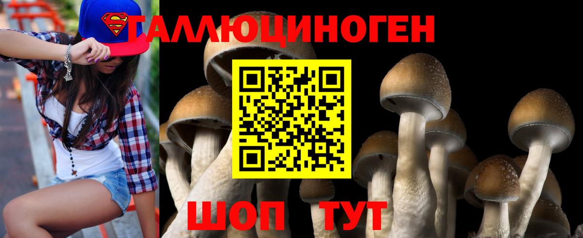 Псилоцибиновые грибы Psilocybine cubensis  Вход с VPN  Кубинка  Псилоцибиновые грибы мухоморы 